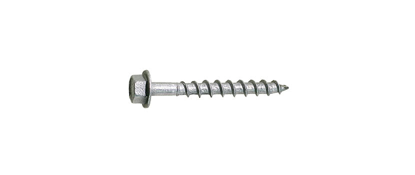 Galvanized Screw