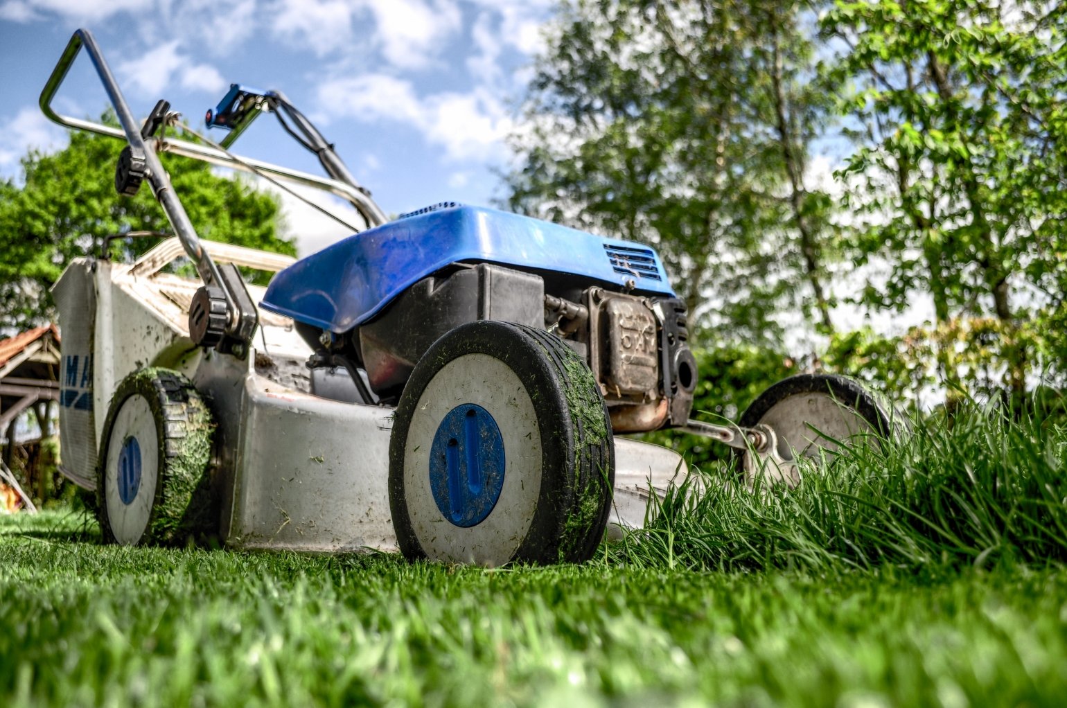 lawn mowers for sale