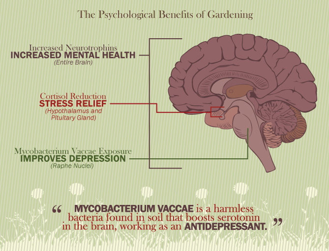 Gardening The Wonderdrug - The Mental Benefits of Gardening